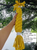 Handmade Jumbo Macrame Rope Candy for Big Dog, Sustainable