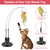 2 Cat Wand Toys 