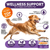 Multivitamin Chewable Dog Vitamins and Supplement
