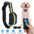 Dog Training Collar