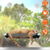 Cat Window Perch Cat Hammock Window Seat 