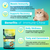 Cat Immune Chews - 60 Chews