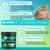Cat Digestive Powder