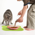 Dog Cat Bowl Mat 