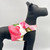 DCNY "Fine Art Frolic" Pink Vest-Style Harness