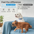 Probiotic Chews for Dogs