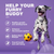 Dog Vitamins 15 in 1 Dog Multivitamin Chews with MSM for Hip & Joint Health Dog Supplement for Itchy Skin Relief Multivitamin for Dogs Immune Support