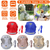 Pet Mesh Harness Dog Leash Set