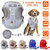 Pet Mesh Harness Dog Leash Set