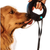 Dog Water Bottle with Flip Open Cup