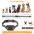 Citronella Bark Collar for Dogs Spray 