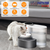 Smart Pet Water Fountain Automatic Cat Water Dispenser