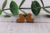 Mouse || Stud Earrings || Hypoallergenic