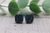 Glitz Navy Blue  Square Druzy Stud Earrings
