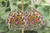 MAMA Leopard & Cow Rainbow Resin Dangle Earrings