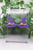 Witch Hat || Dangle Earrings || Hypoallergenic
