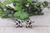 Cow Star || Wood Stud Earrings