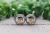 Halloween Highland Cow || Glass Stud Earrings || Hypoallergenic