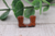 Glitter Boots || Stud Earrings || Hypoallergenic