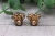 Highland Cow with Headband  Wood Stud Earrings