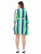 Bold Striped Ketaki Dress