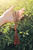 Red Earth Meditation Mala Red Creek Jasper 