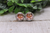 Hugging Sloths XOXO || Stud Earrings