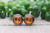 Fall Sunflowers || Glass Stud Earrings || Hypoallergenic