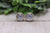 White Leopard Heart || Stud Earrings