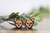 Chihuahua Dog Breed || Wood Stud Earrings || Hypoallergenic