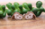 Snoopy || 12mm Stud Earrings