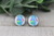 Stitch & Frog  Glass Stud Earrings