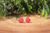 Glitz Pink Druzy Heart Stud Earrings *Mini*