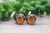 Gobble' Turkey & Pumpkin || Glass Stud Earrings || Hypoallergenic