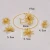 24K Gold Plated Costume Jewelry Sets