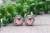 Cute Pug on Pink || Glass Stud Earrings || Hypoallergenic