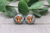 Highland Cow & Horseshoe  Glass Stud Earrings