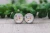 Gobble Gobble Gobble || Glass Stud Earrings || Hypoallergenic