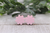 Light Pink Spring Flowers || Stud Earrings || Hypoallergenic