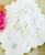 Brushed Gold Marquise Pendant Earrings 