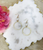 Stone & Brushed Gold Pendant Earrings 