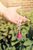 Rose Quartz Wrist Mala