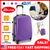 20 Inch Hardside Spinner Luggage Hard Shell 