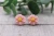 Light Daisy Stud Earrings