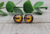 Stained Glass Bee & Honeycomb || 12mm Glass Stud Earrings