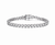 Collette Z Sterling Silver with Rhodium Plated Clear Round Cubic Zirconia Milgrain Bezel Tennis Bracelet