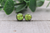 Sparkle Neon Yellow |  Mini Druzy Stud Earrings | Hypoallergenic