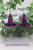 Confetti Witch Hat || Acrylic Dangle Earrings || Hypoallergenic