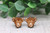 Highland Cow with Floral Crown || Wood Stud Earrings