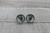 Elephant  Glass Stud Earrings
